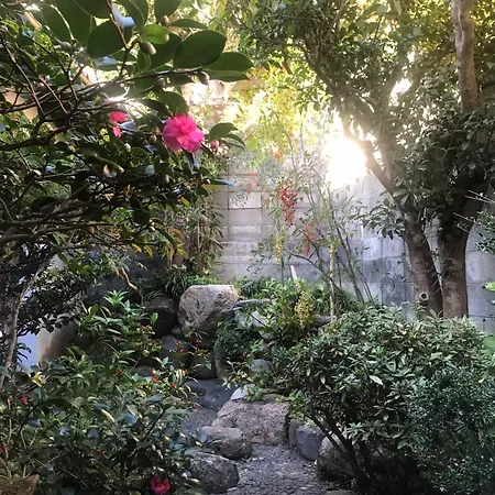 あまね庵 Villa Amane 樱井市 外观 照片